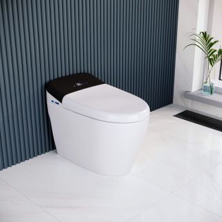 Умный унитаз RGW SW-30 63420130-01 белый